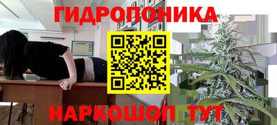 прущий лед Пугачёв