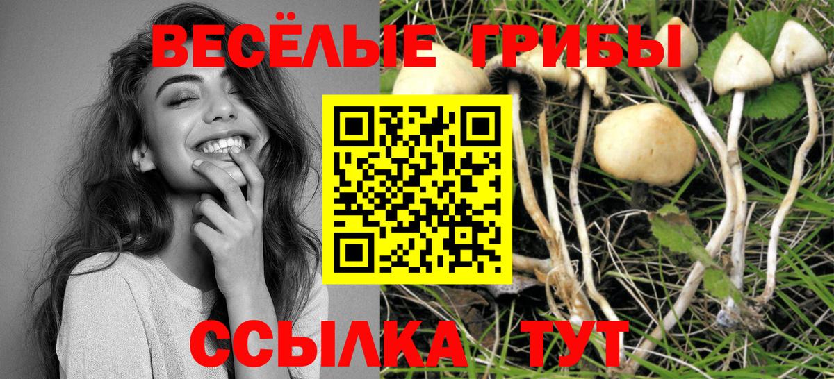Псилоцибиновые грибы Cubensis  Псилоцибиновые грибы ЛСД  Вход с VPN  Спасск-Дальний 